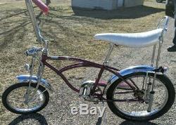 Vintage Schwinn Grape Krate Bicycle Rare Color