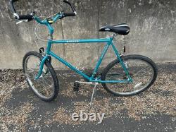 Vintage Schwinn Mirada Bike