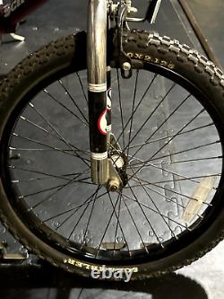 Vintage Schwinn Predator All Original Parts Super Clean 20in