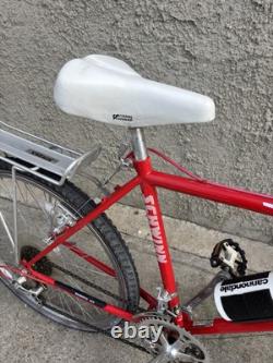 Vintage Schwinn Sierra 1980s 26 Araya Rims Sealed Hubs Red 4130 Chromoly Rare