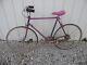 Vintage Schwinn Speedster Racing Mountain Bicycle Bike Purple