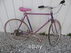 Vintage Schwinn Speedster Racing Mountain Bicycle bike purple