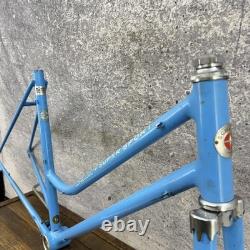 Vintage Schwinn Super Sport Step Through Frame 20in Blue CRMO 27in 120mm Women