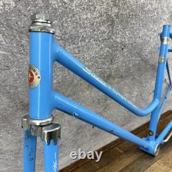 Vintage Schwinn Super Sport Step Through Frame 20in Blue CRMO 27in 120mm Women
