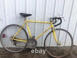 Vintage Schwinn Touring Bike- Schwinn Varsity-10 Speed- 55cm Steel Frame