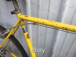 Vintage Schwinn Touring Bike- Schwinn Varsity-10 Speed- 55cm Steel Frame