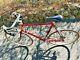 Vintage Schwinn Traveler Road Bicycle- Frame Chrome Molly Pickup North Nj