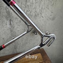 Vintage Schwinn Voyageur 11.8 Frame Set 21 in 58 cm Touring Lugged Voyager 1970s