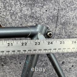 Vintage Schwinn Voyageur Touring Bike Frame 64cm Tange Champion 700c 123mm Tall