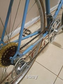 Vintage Schwinn World Road Bike