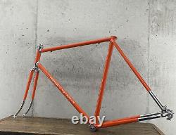 Vintage Schwinn World Voyageur Frame Set 58cm Road Bike 4130 1970s