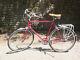 Vintage Schwinn Suburban Bicycle, 3 Speed Coaster Brake Conversion Velo Orange