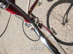 Vintage schwinn suburban bicycle, 3 speed coaster brake conversion velo orange