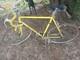 Vintage Schwinn Super Sport Bicycle