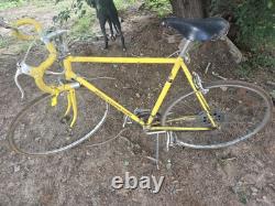 Vintage schwinn super sport bicycle