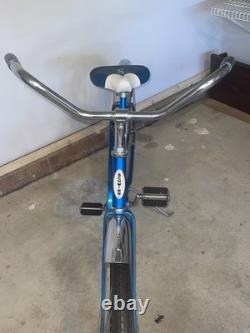 Vtg 1970 Schwinn Hollywood Cruiser Bicycle All Original OEM Chicago USA Survivor