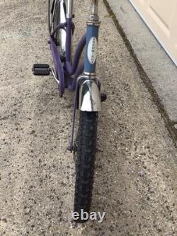 Vtg 1970 Schwinn Stingray Bike Fair Lady Muscle Bicycle Banana Seat All Original