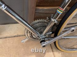 Vtg Schwinn Chrome Paramount in Excellent original condition Campagnolo Group