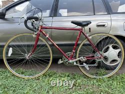 Vtg Schwinn Traveler Touring Road Bike 50cm CrMo 12 Speed Suntour 27